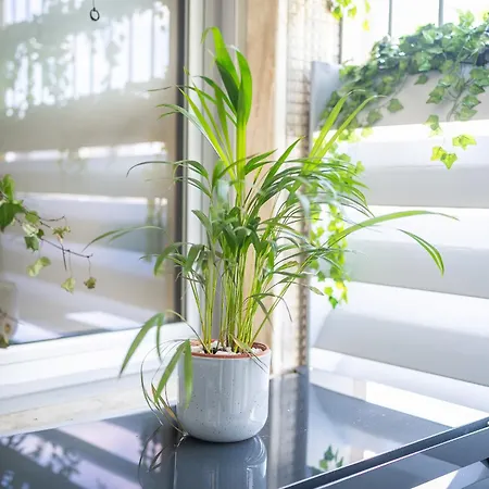 Lumen - Skyline View Attic Διαμέρισμα