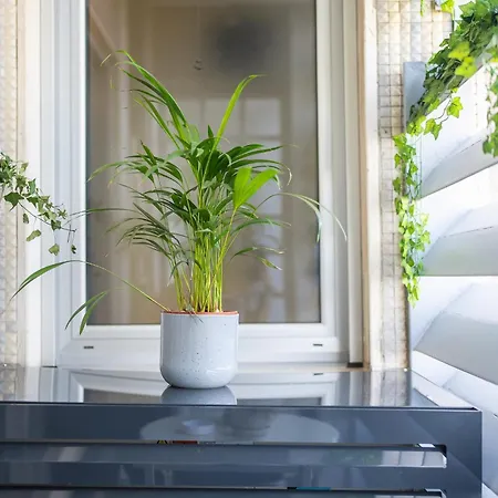 Appartement Lumen - Skyline View Attic