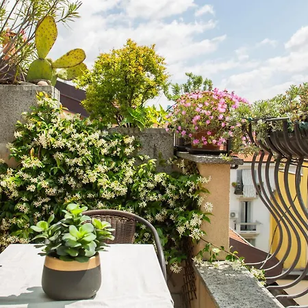 Apartment Sarpi Roof