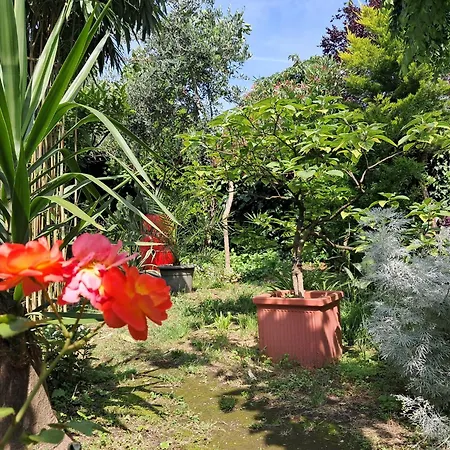 With A Garden * Milano