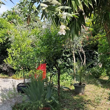 Проживание в семье With A Garden *