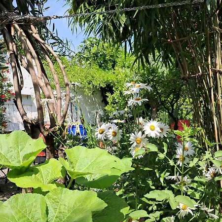 With A Garden Alloggio in famiglia Milano