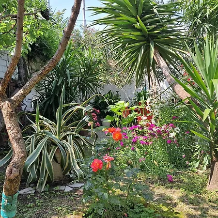 With A Garden