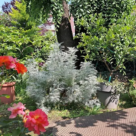 With A Garden Проживание в семье