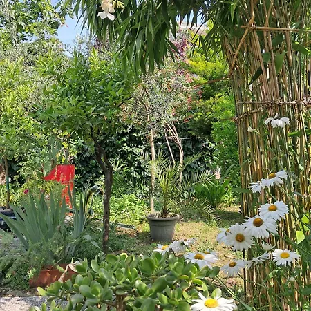 Alloggio in famiglia With A Garden *