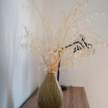 Dream House Citta Studi 公寓 米兰