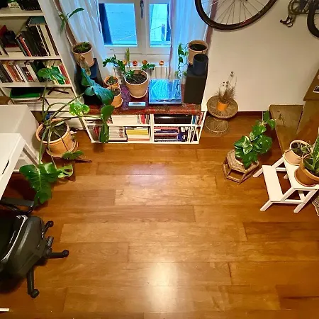 Cozy Loft In The Heart Of Lägenhet *