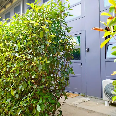 Star Dust * מילאנו