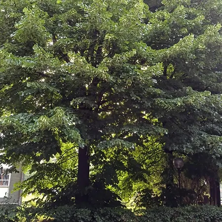 Le Jardin Secret Mailand