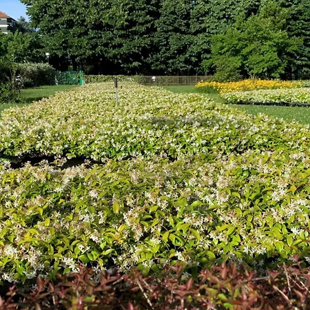 Le Jardin Secret Daire Milano