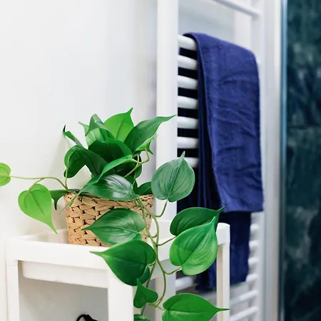 Lovely Petit - Centro *