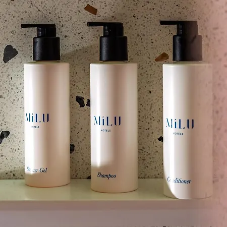 호텔 Milu 4*