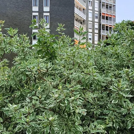 Le Jardin Secret Milano