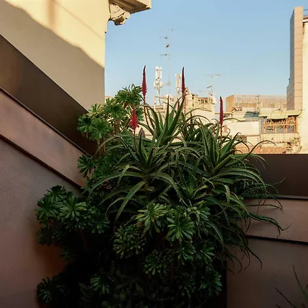 Straf, Milan, A Member Of Design