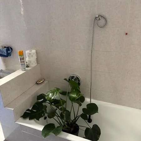 Apartment Accoglienti A Silva *