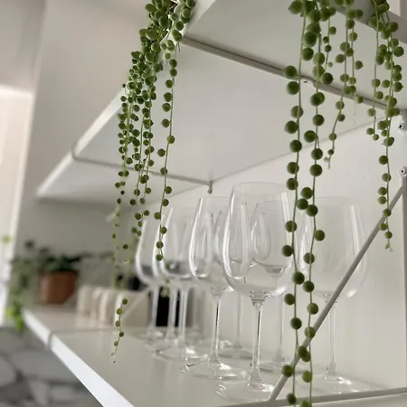 Casa Leonardo - Citta Studi