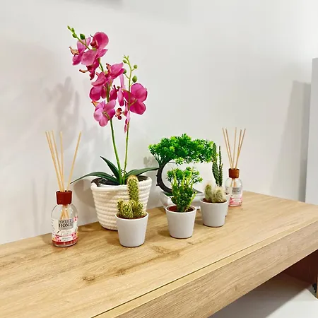Apartamento Cmcasevacanze *