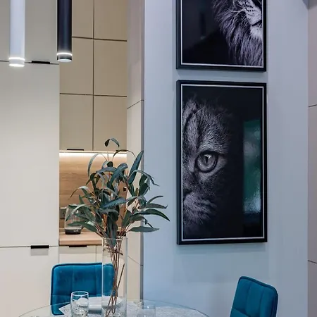 Apartmanhotel Otto Edolo Quiet Design 4*
