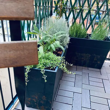 Cozy Isola Garden アパート *
