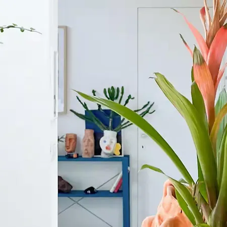 Penthouse With Terrace *