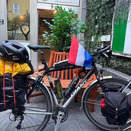 旅馆 Lion & Youth *