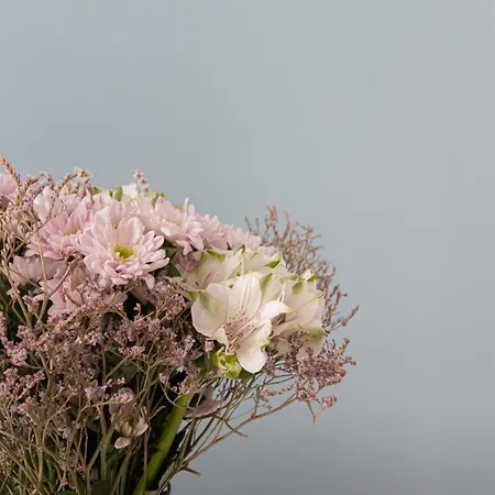 Daire Italianway Easy - Argonne 39