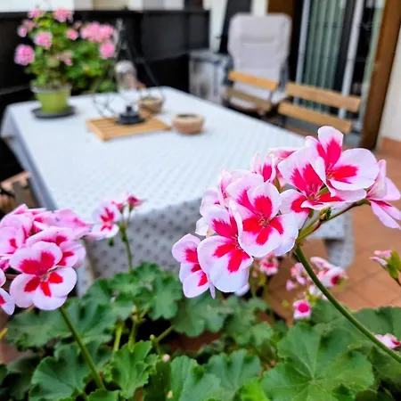 Loft Moderno Con Terrazzo *