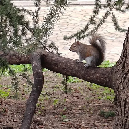 Garden Flat * Милан