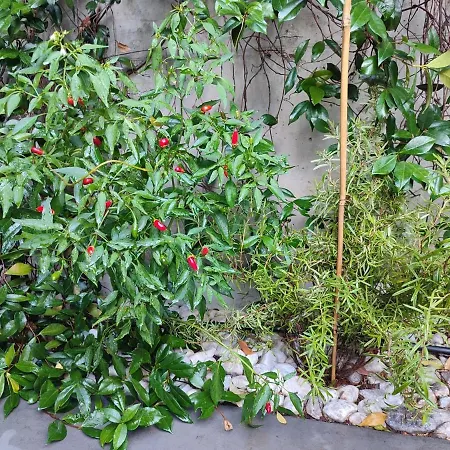 Citylife Mico Modern With Private Garden ミラノ