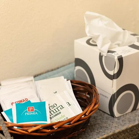 Junior Milano- Quiet And Comfort