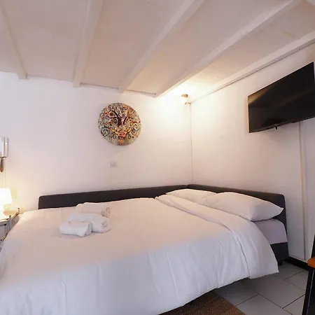 Primopiano - Pacini Milan