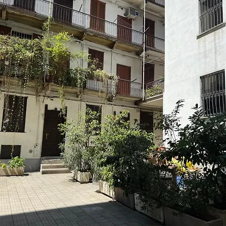 Pasteur-mm Red Line *