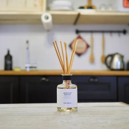 Urban Design - Buenos Aires District