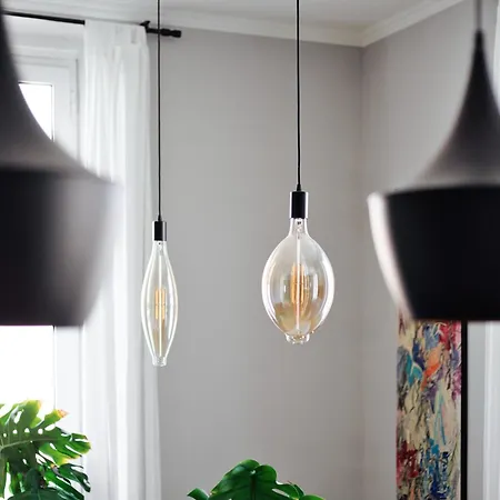 Hostmate - - Zara 61 *