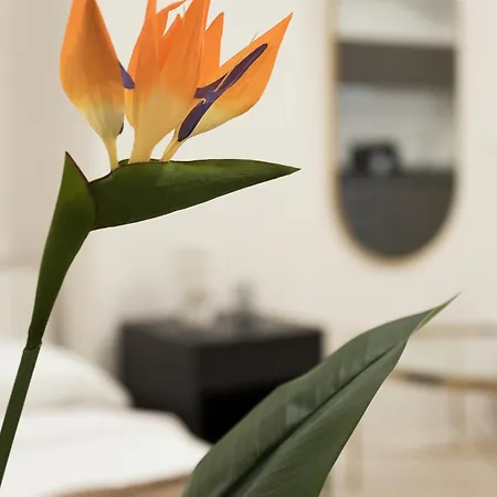 Sweet Dreams - Near Center - M4 Lejlighed Milano