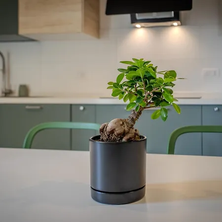 Apartmán Social House - Vivi La Citta Con Stile *