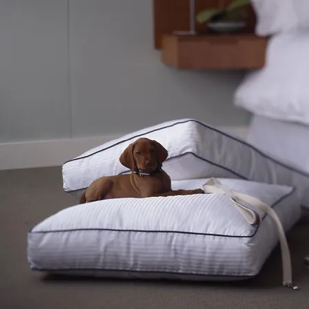 Otel The Westin Palace, 5*