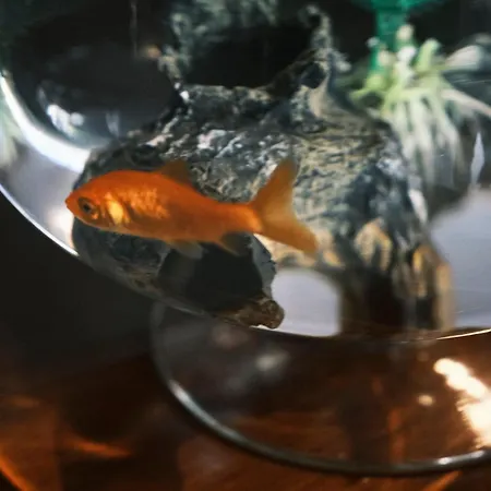 شقة Comecasa De Amicis Urban Flat Near Duomo ميلان