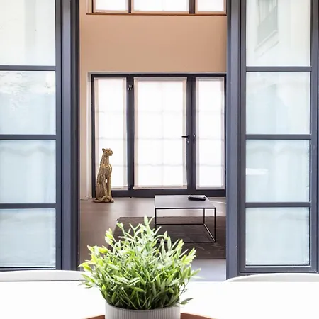 Luxury House In Pietrasanta 130 Mq