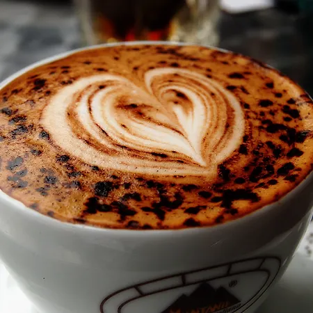 Michelangelo Otel Milano