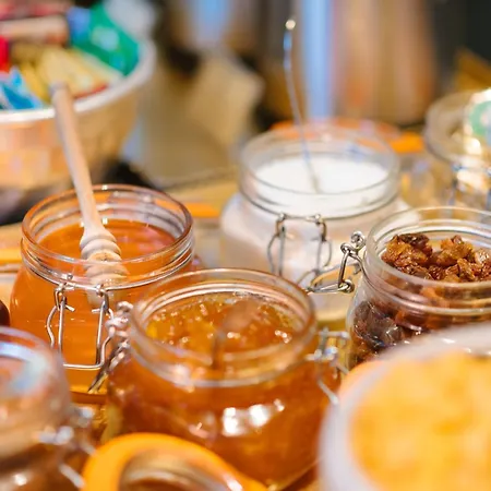 米兰温莎酒店 酒店 米兰