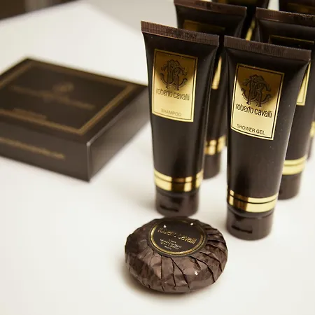 酒店 Cristoforo Colombo Member Of Preferred & 米兰