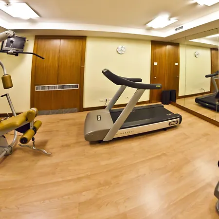 هوليداي إن غاريبالدي ستيشن 4*