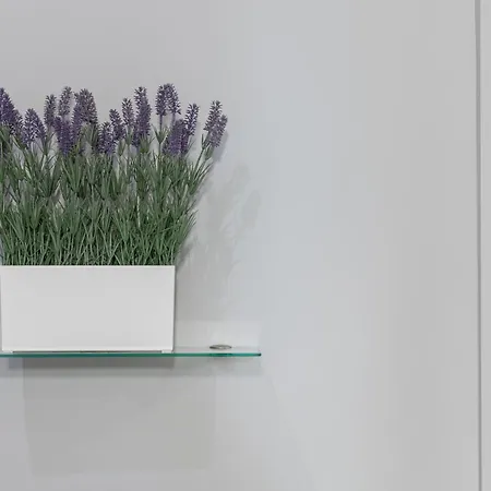 Apartment Stunning In Bovisa *