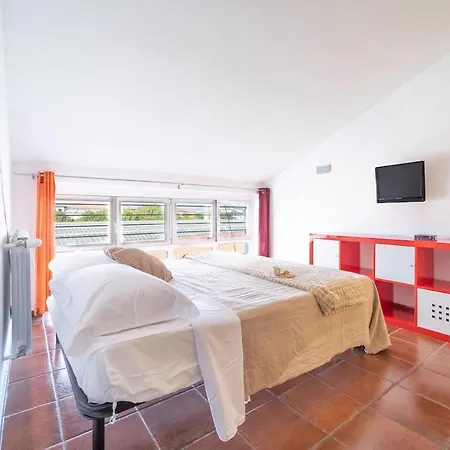 Canavesi Red Metro Primaticcio 4 Min