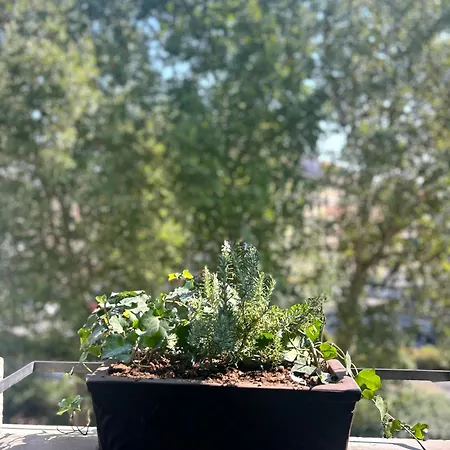 Luxury Porta Venezia Center 米兰