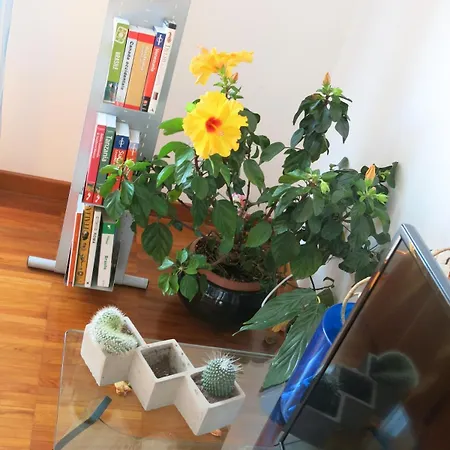 Apartamento Bright And Lovely Private In Milán