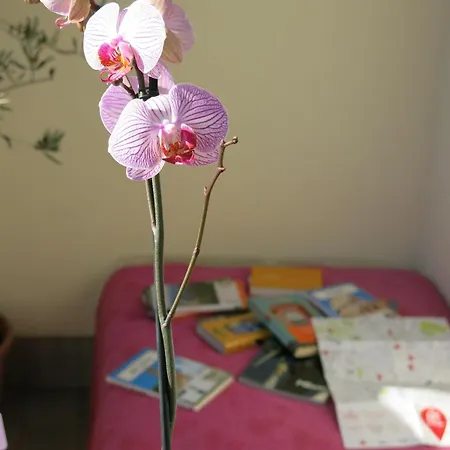 Bright And Lovely Private In Apartamento Milán