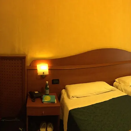 奥罗拉酒店 酒店 *