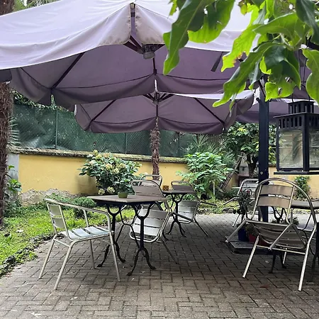 酒店 帕拉迪索酒店 2*